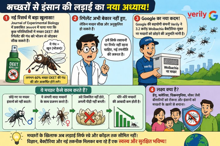"क्या मच्छर अब रिपेलेंट से नहीं डरते? Google की करोड़ों बैक्टीरिया-युक्त मच्छर छोड़ने की योजना ने मचाई हलचल"