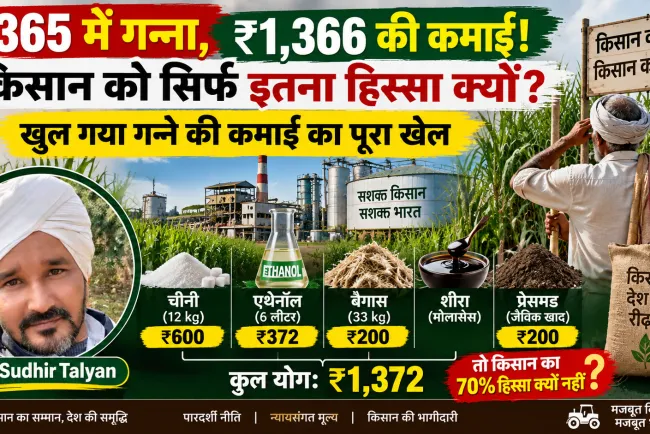 “गन्ने का 1 क्विंटल ₹1,366 की कमाई देता है, किसान को सिर्फ ₹365! आखिर बाकी पैसा किसकी जेब में?”
