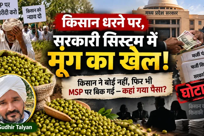 ₹13.35 लाख का मूंग घोटाला: किसान MSP को तरसा, कर्ज में डूबा—गलत नीतियों ने आत्महत्या की मजबूरी तक पहुंचाया?