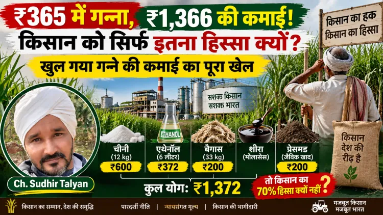“गन्ने का 1 क्विंटल ₹1,366 की कमाई देता है, किसान को सिर्फ ₹365! आखिर बाकी पैसा किसकी जेब में?”