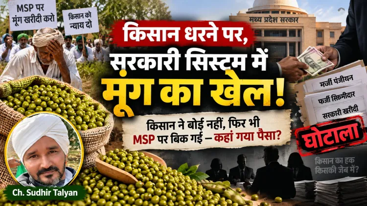 ₹13.35 लाख का मूंग घोटाला: किसान MSP को तरसा, कर्ज में डूबा—गलत नीतियों ने आत्महत्या की मजबूरी तक पहुंचाया?