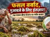किसान की फसल बर्बाद, बीमा कंपनियों की मौज! सरकार और बीमा कंपनी की जवाबदेही शून्य